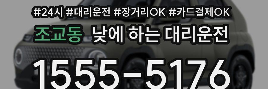 조교동 낮에 하는 대리운전