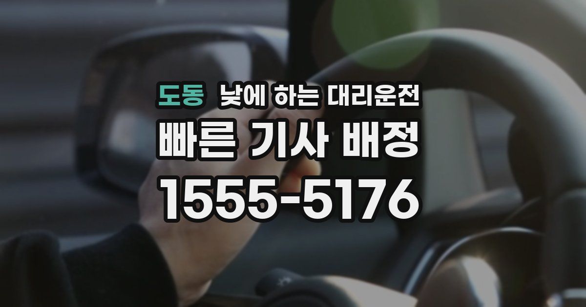 도동 낮에 하는 대리운전