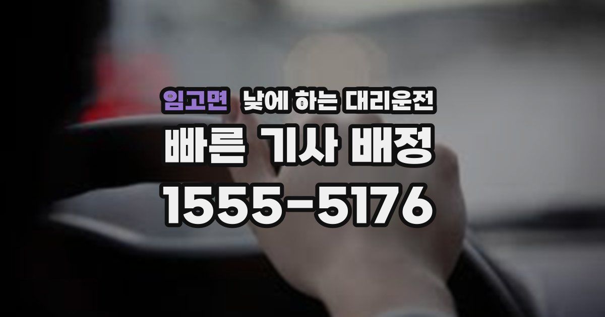 임고면 낮에 하는 대리운전