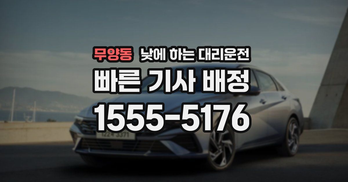 무양동 낮에 하는 대리운전