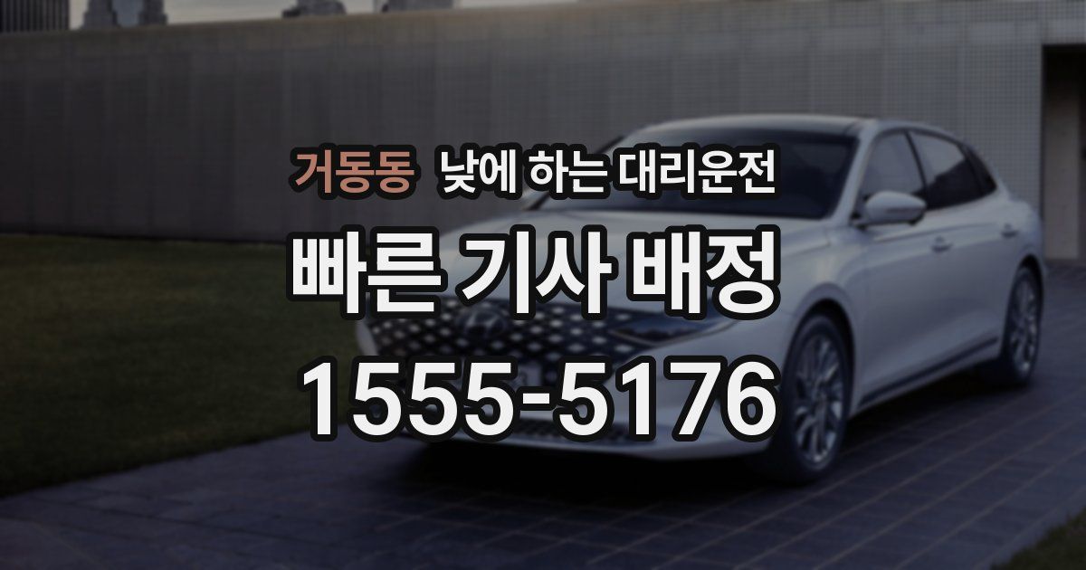 거동동 낮에 하는 대리운전