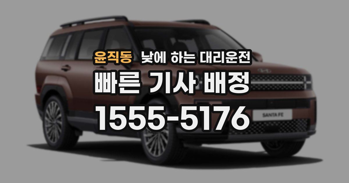 윤직동 낮에 하는 대리운전