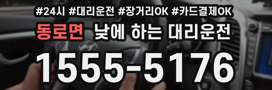 동로면 낮에 하는 대리운전