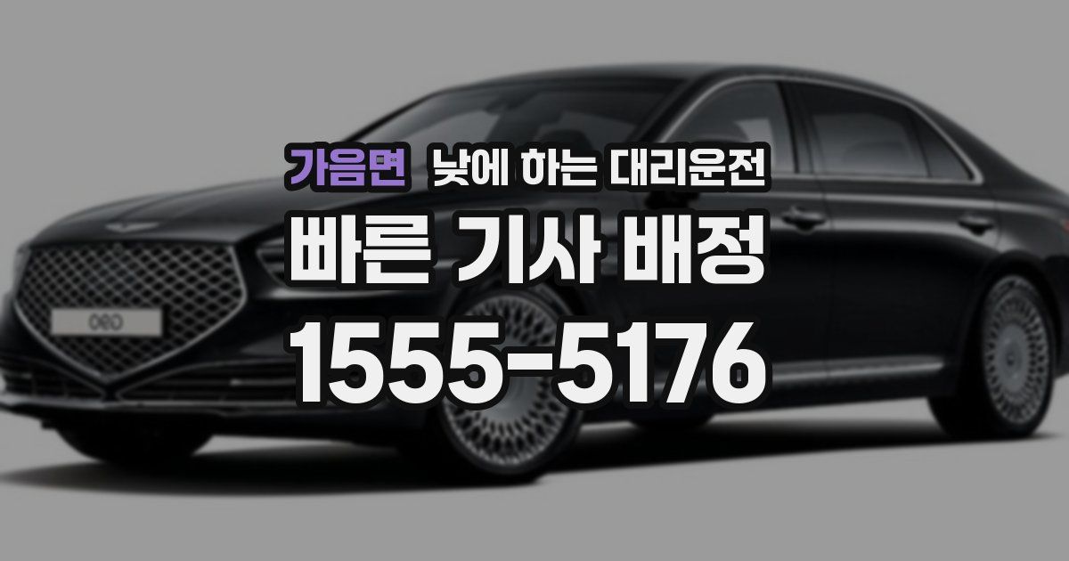 가음면 낮에 하는 대리운전