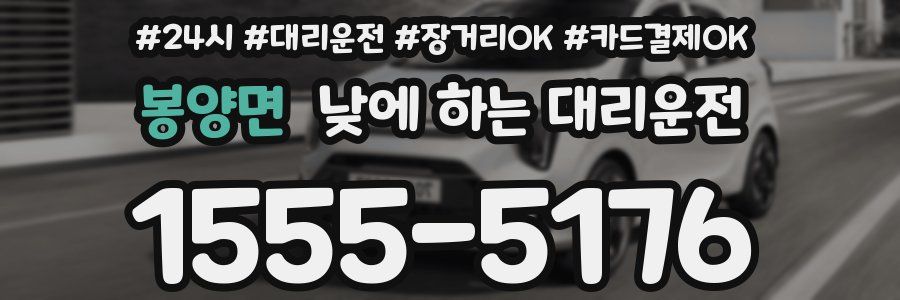 봉양면 낮에 하는 대리운전