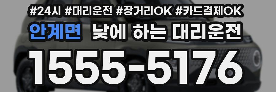 안계면 낮에 하는 대리운전