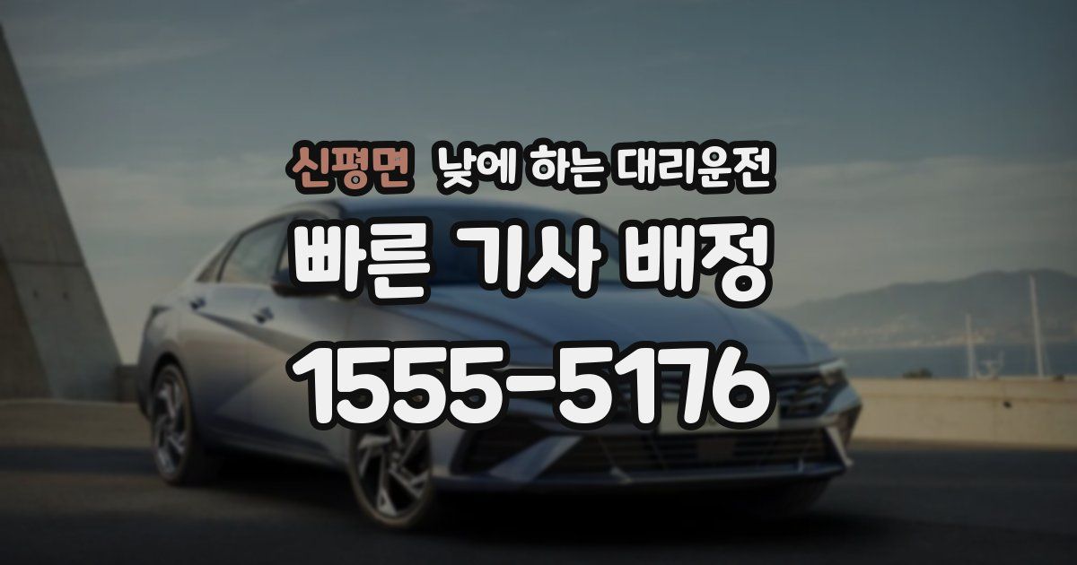 신평면 낮에 하는 대리운전