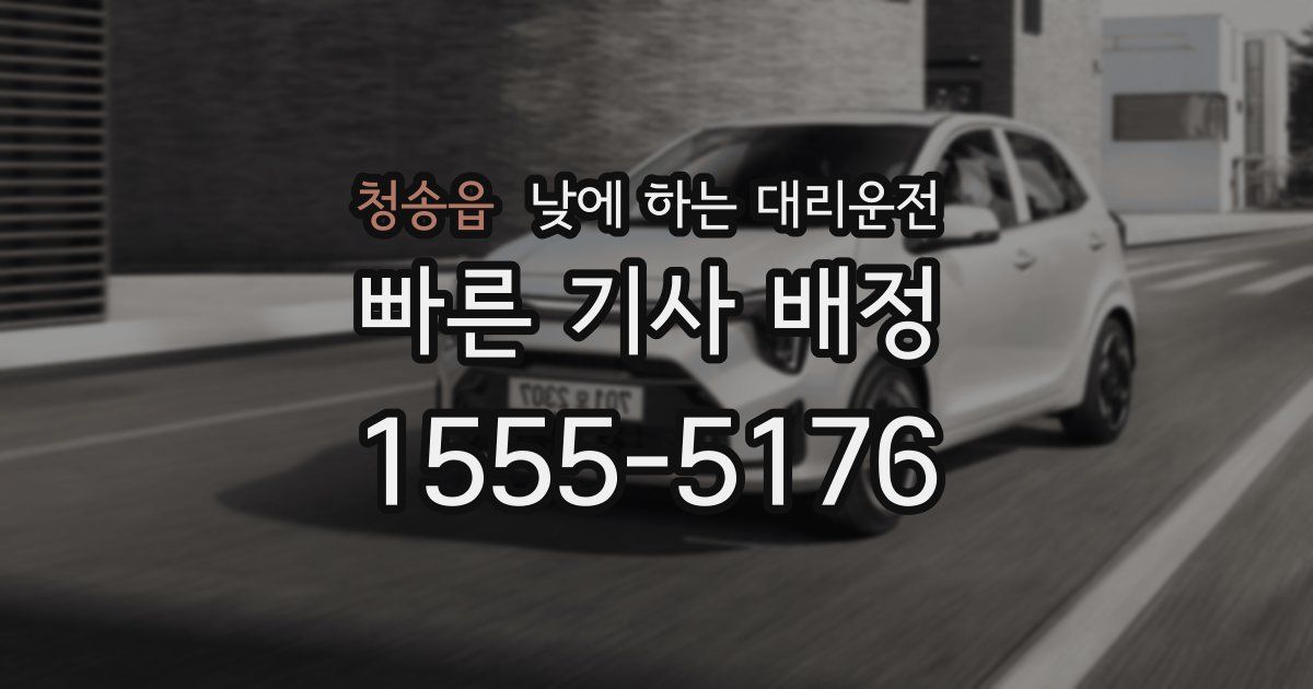 청송읍 낮에 하는 대리운전