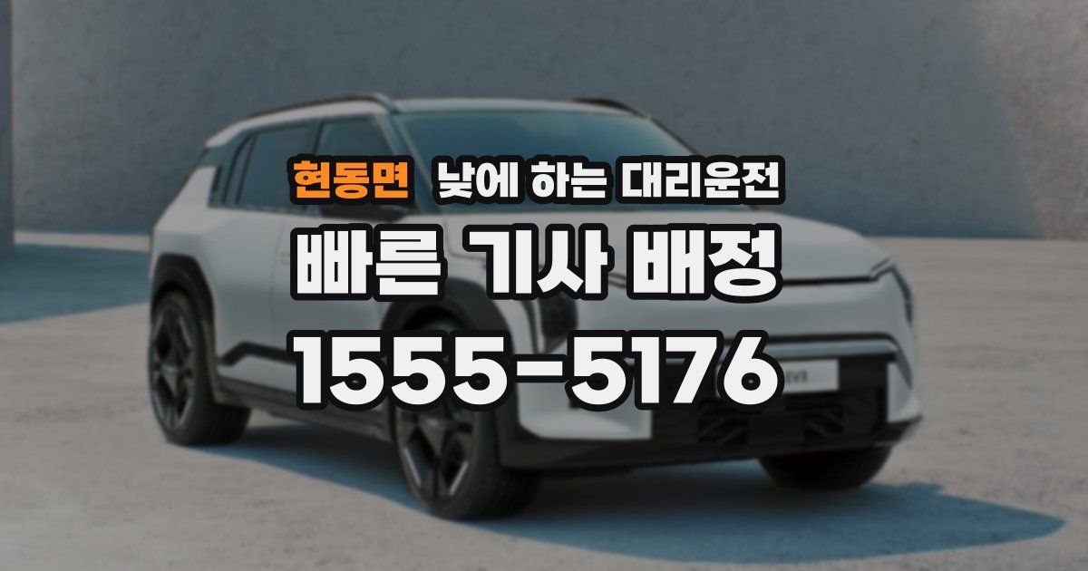 현동면 낮에 하는 대리운전