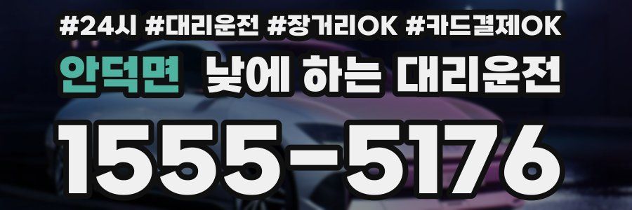 안덕면 낮에 하는 대리운전
