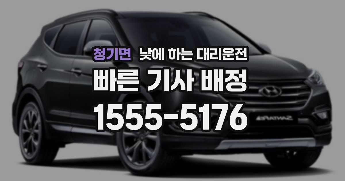 청기면 낮에 하는 대리운전