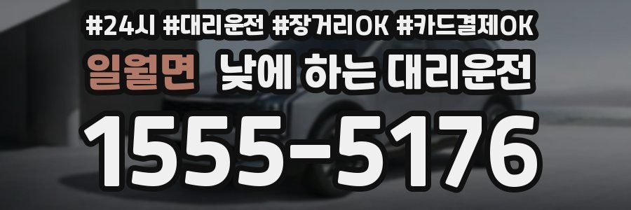 일월면 낮에 하는 대리운전