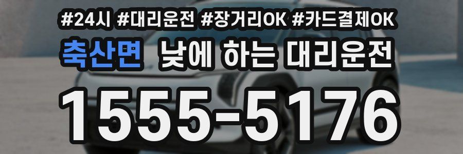 축산면 낮에 하는 대리운전