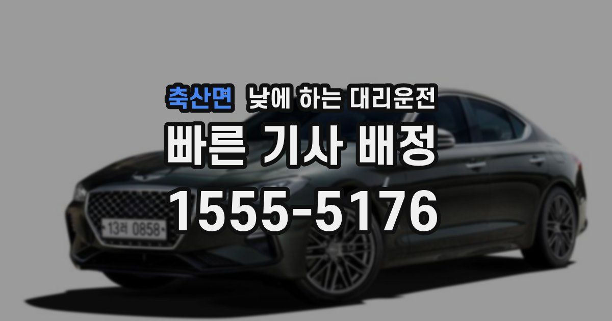 축산면 낮에 하는 대리운전