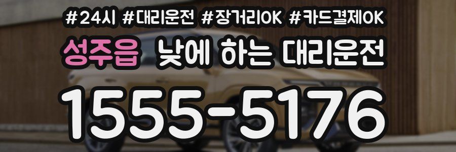 성주읍 낮에 하는 대리운전