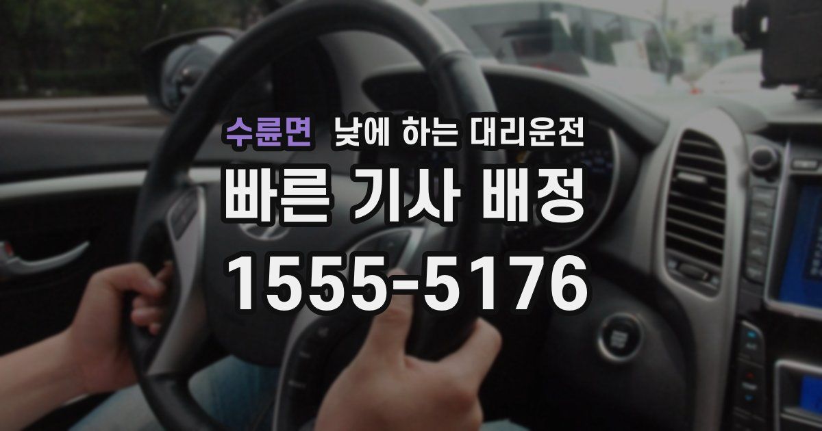 수륜면 낮에 하는 대리운전