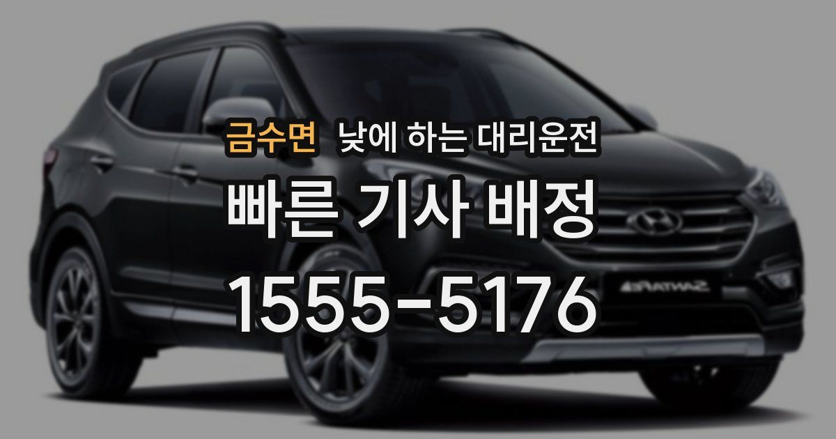 금수면 낮에 하는 대리운전