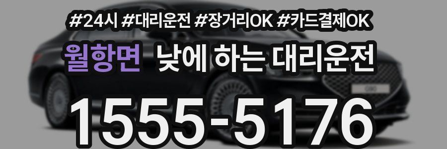 월항면 낮에 하는 대리운전