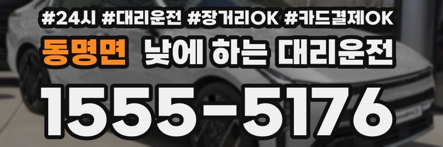 동명면 낮에 하는 대리운전