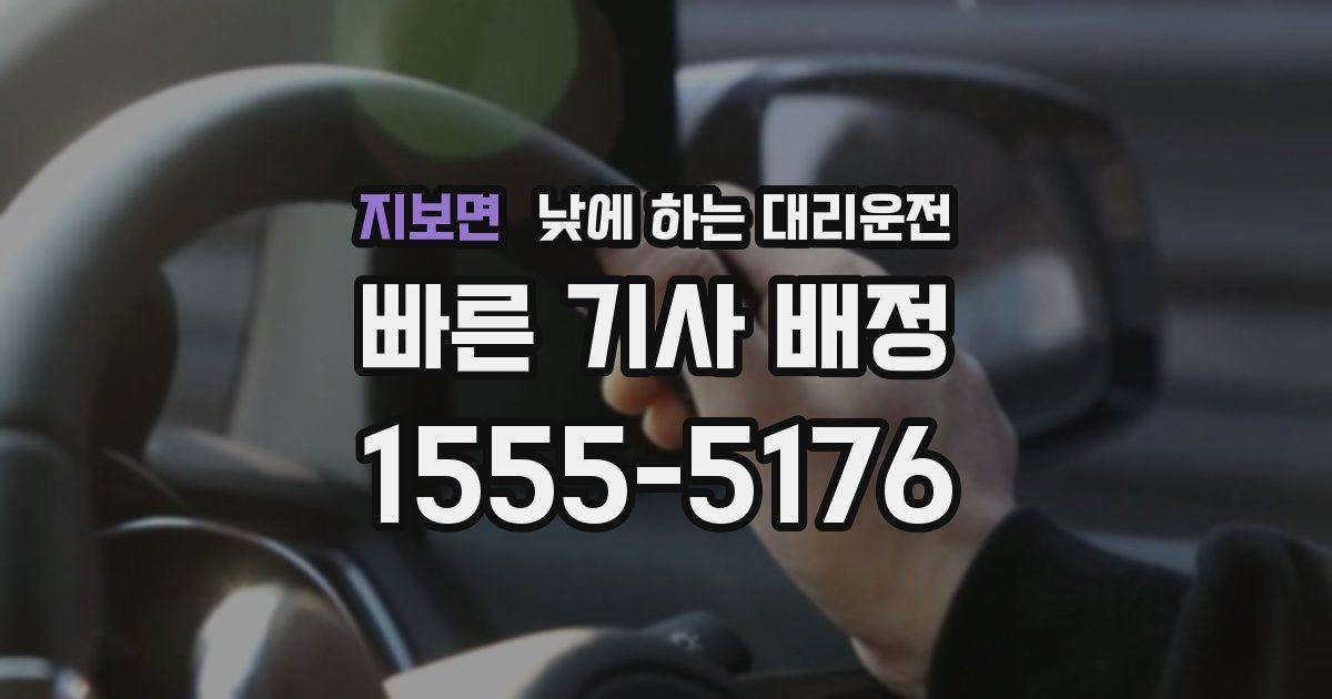 지보면 낮에 하는 대리운전