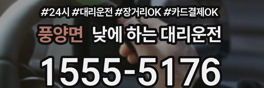 풍양면 낮에 하는 대리운전