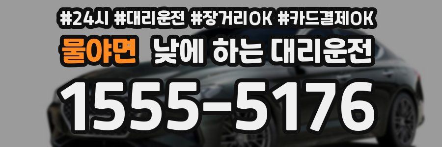 물야면 낮에 하는 대리운전