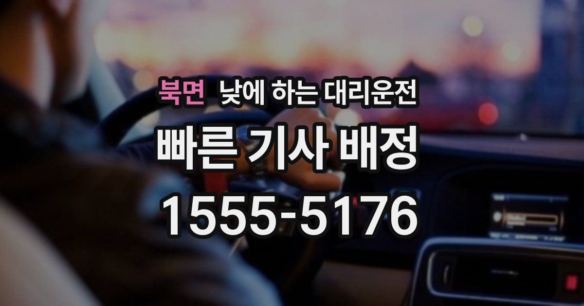 북면 낮에 하는 대리운전