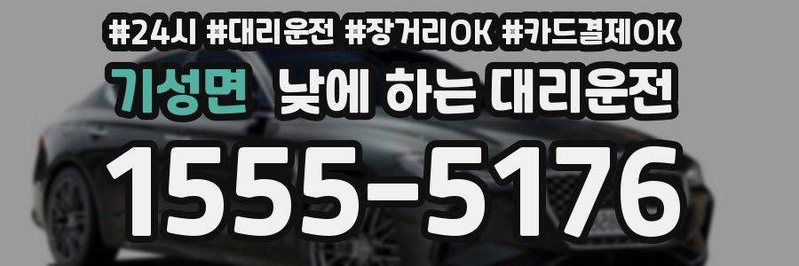 기성면 낮에 하는 대리운전