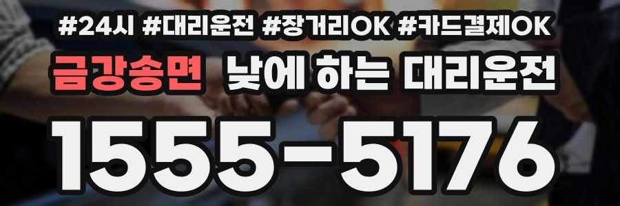 금강송면 낮에 하는 대리운전