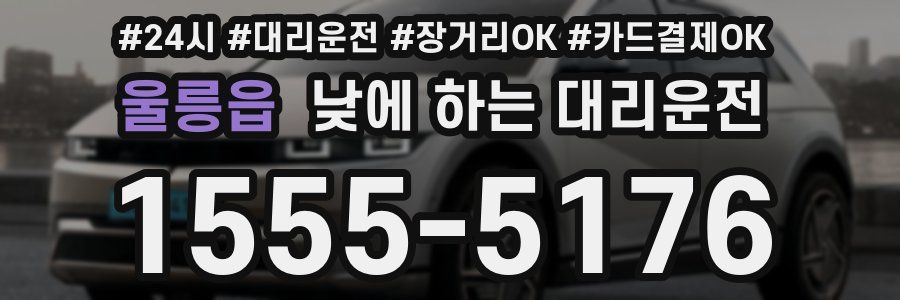 울릉읍 낮에 하는 대리운전