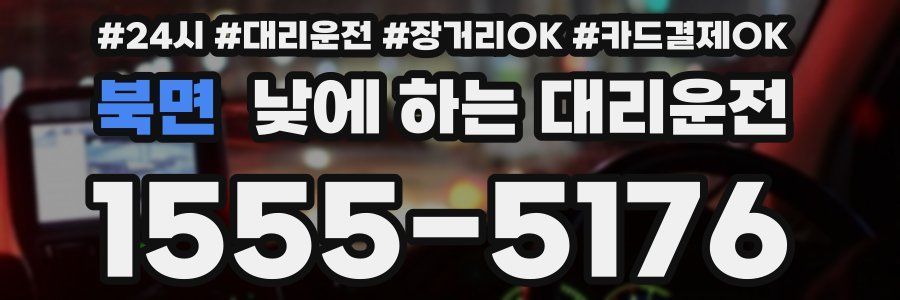 북면 낮에 하는 대리운전