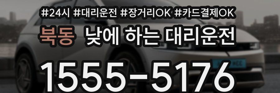 북동 낮에 하는 대리운전