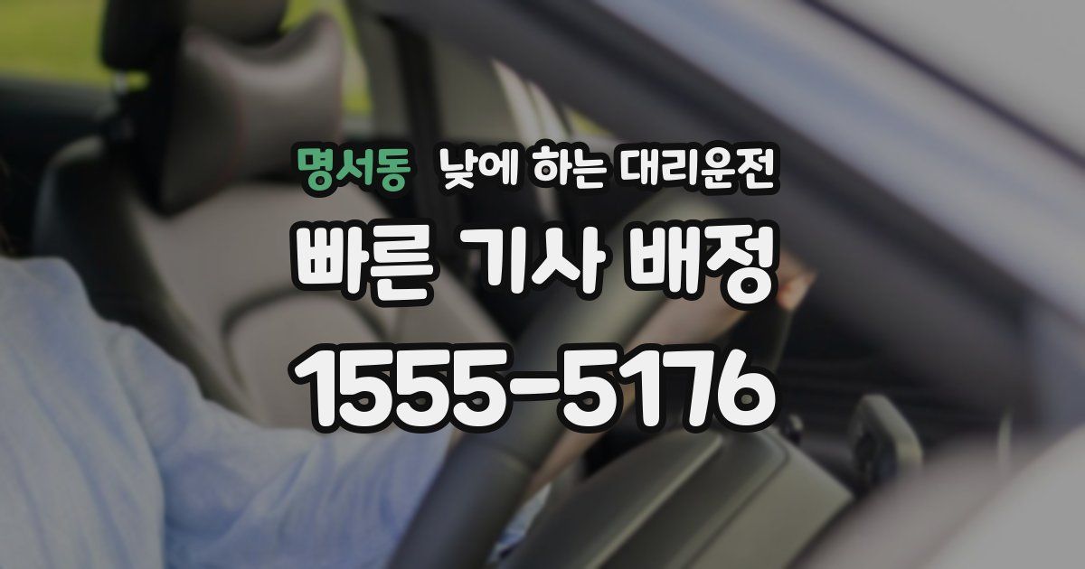 명서동 낮에 하는 대리운전