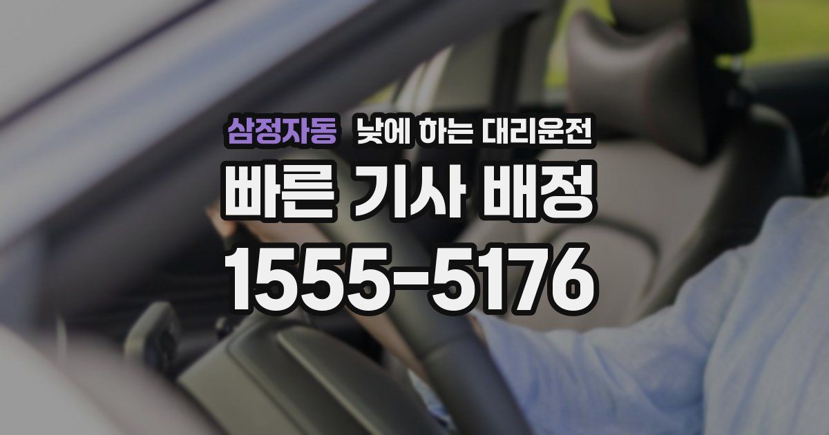 삼정자동 낮에 하는 대리운전