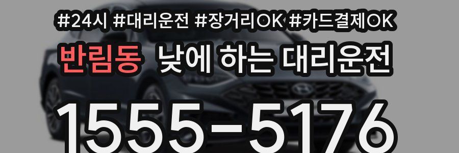 반림동 낮에 하는 대리운전