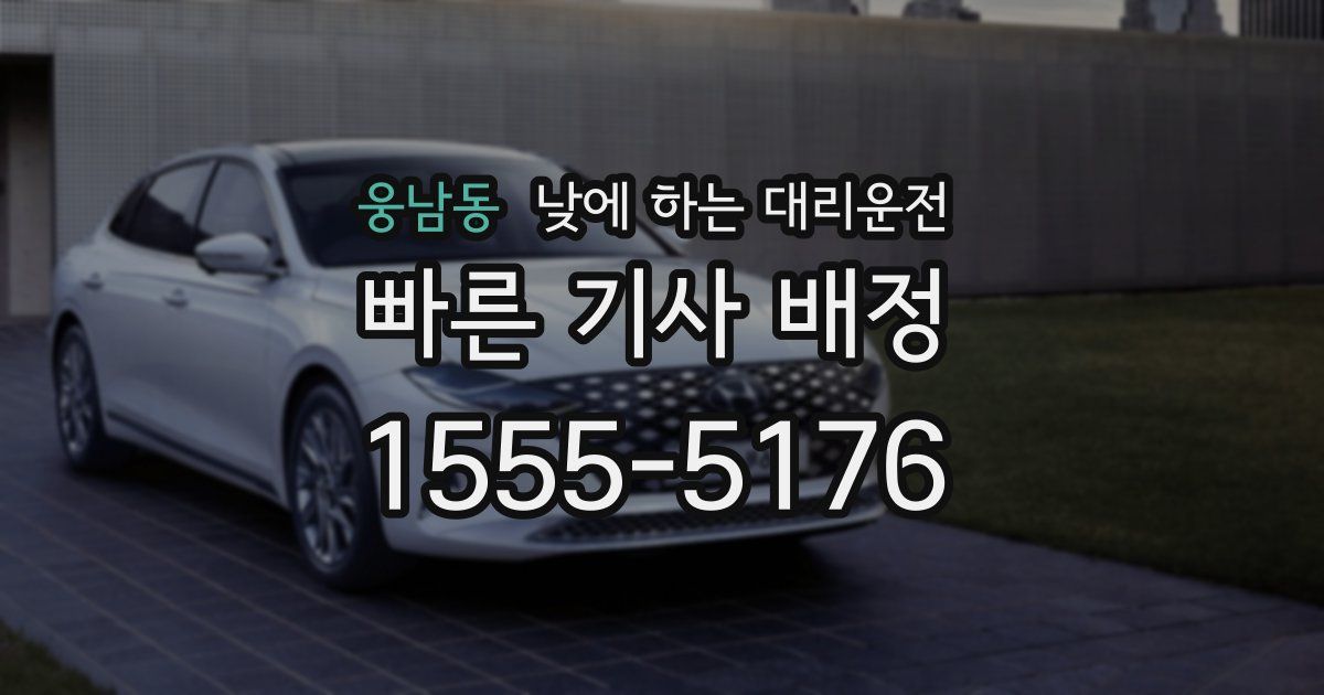 웅남동 낮에 하는 대리운전