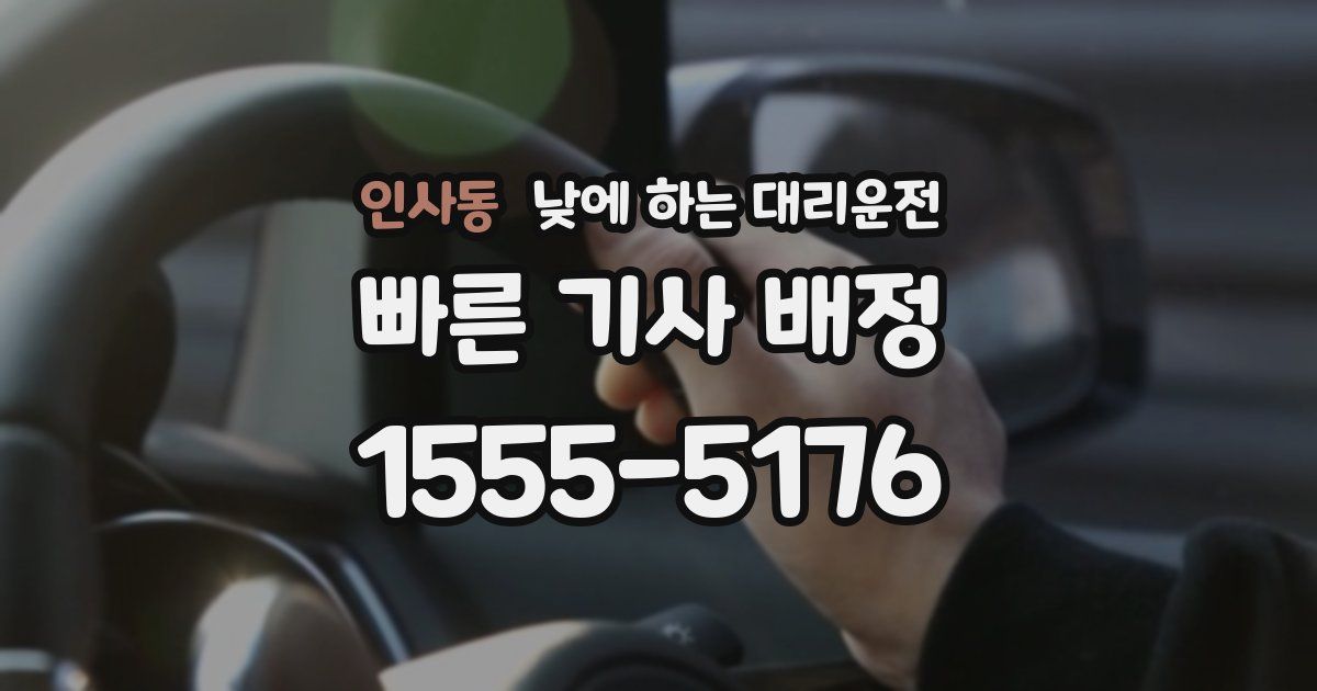 인사동 낮에 하는 대리운전