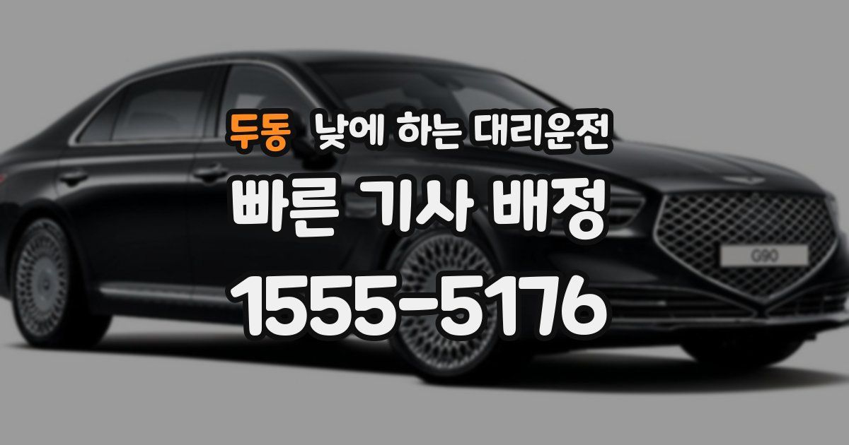 두동 낮에 하는 대리운전