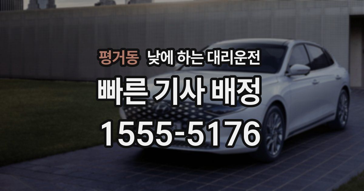 평거동 낮에 하는 대리운전