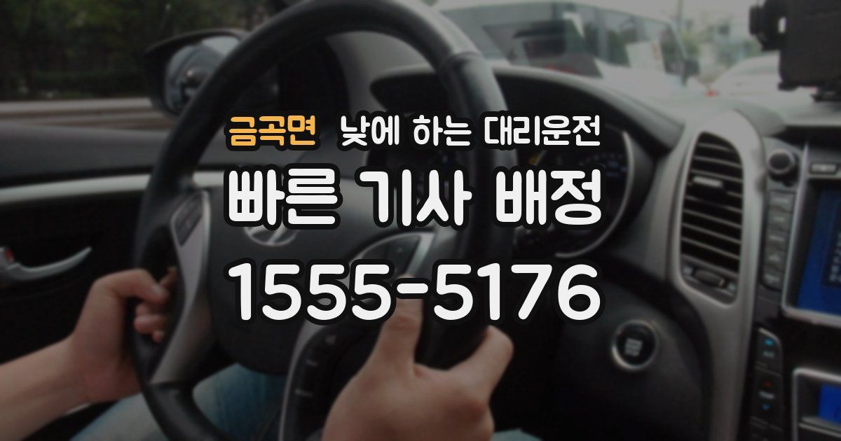 금곡면 낮에 하는 대리운전