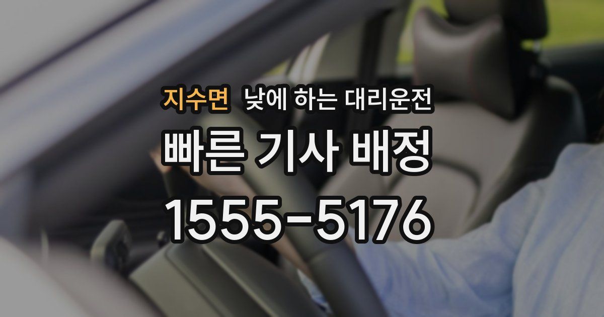 지수면 낮에 하는 대리운전
