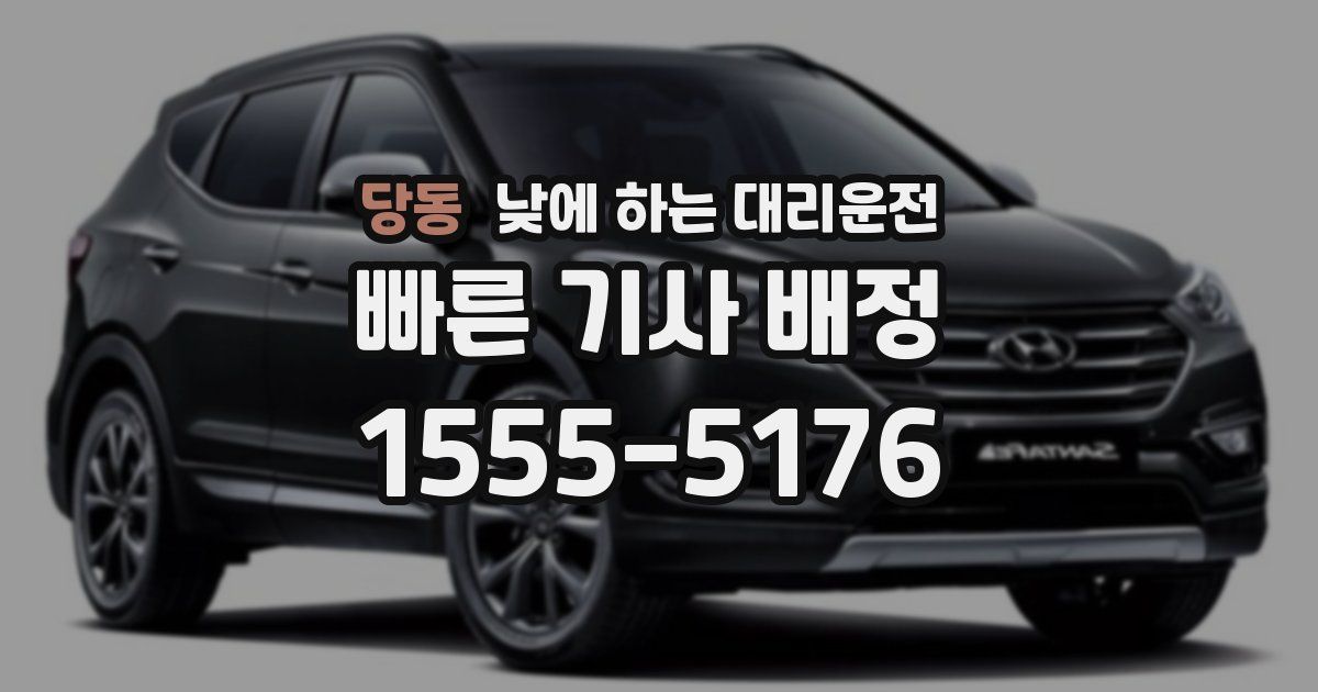 당동 낮에 하는 대리운전