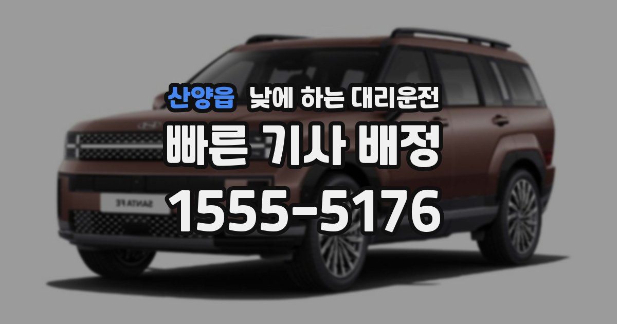 산양읍 낮에 하는 대리운전