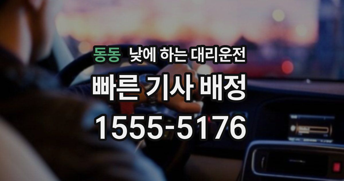 동동 낮에 하는 대리운전
