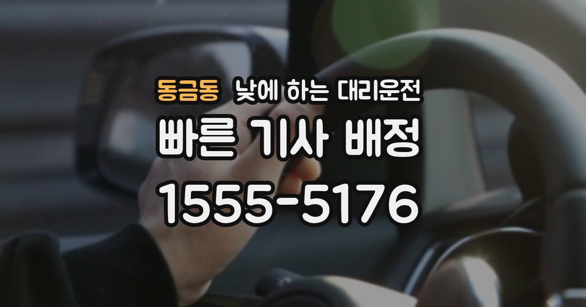 동금동 낮에 하는 대리운전