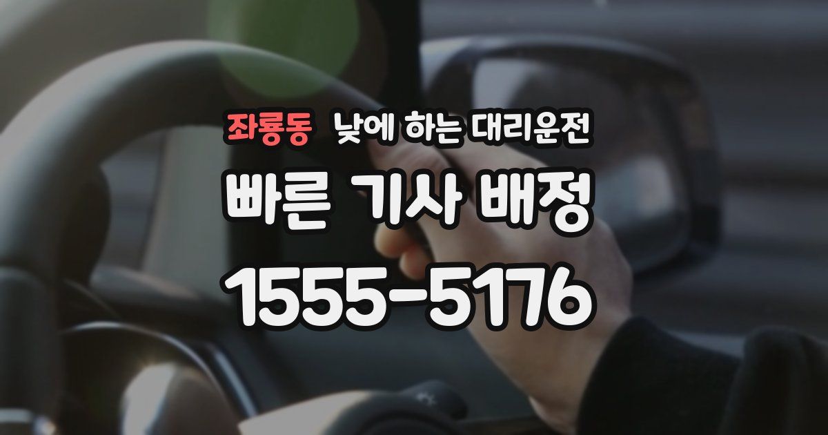 좌룡동 낮에 하는 대리운전