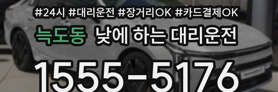 늑도동 낮에 하는 대리운전