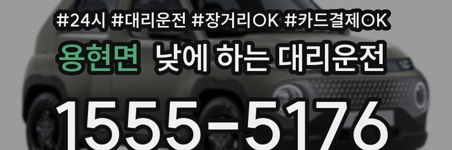 용현면 낮에 하는 대리운전