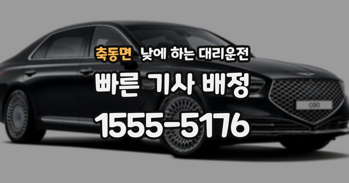 축동면 낮에 하는 대리운전