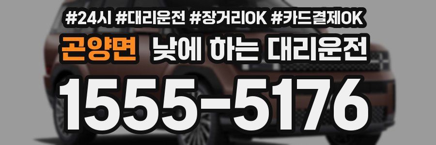 곤양면 낮에 하는 대리운전